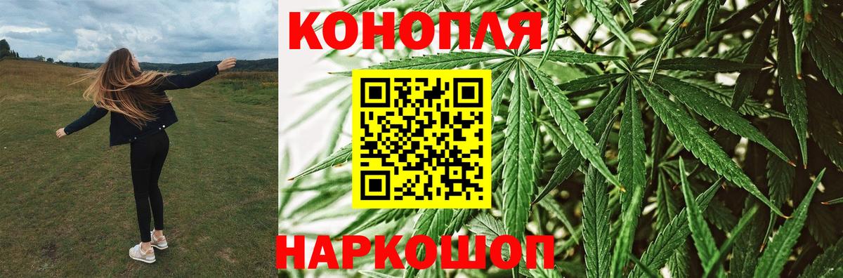 Марихуана тримм  Конопля сатива  Конаково  Вход с VPN  Бошки марихуана план 